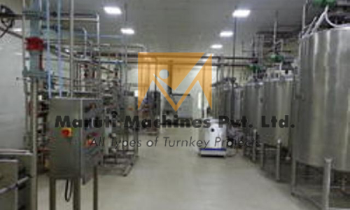 Natural Real Fruit Juice Bottling Machine